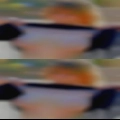 Looking for discreet fun Pigeon
