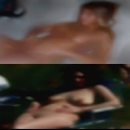 Sexual hookups Springdale